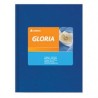 CUADERNO GLORIA FORRADO T/C X 168H