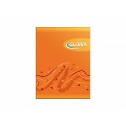 CUADERNO GLORIA T/FLEXIBLE...