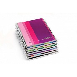 CUADERNO TRIUNFANTE 16X21 X80H