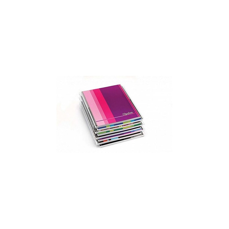 CUADERNO TRIUNFANTE 16X21 X80H